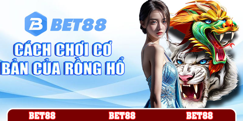 Cách chơi cơ bản của rồng hổ