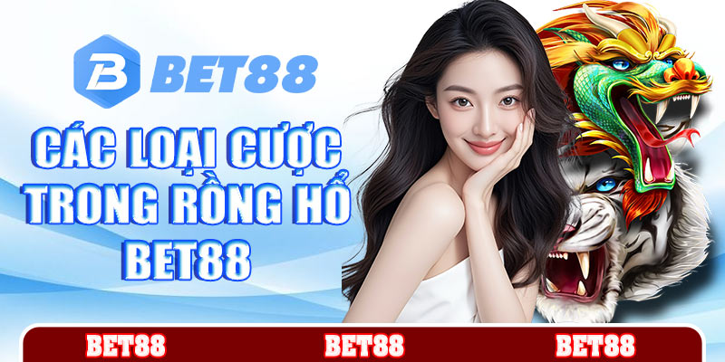 Các loại cược trong game rồng hổ Bet88